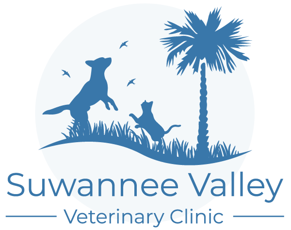 Suwannee Valley Veterinary Clinic